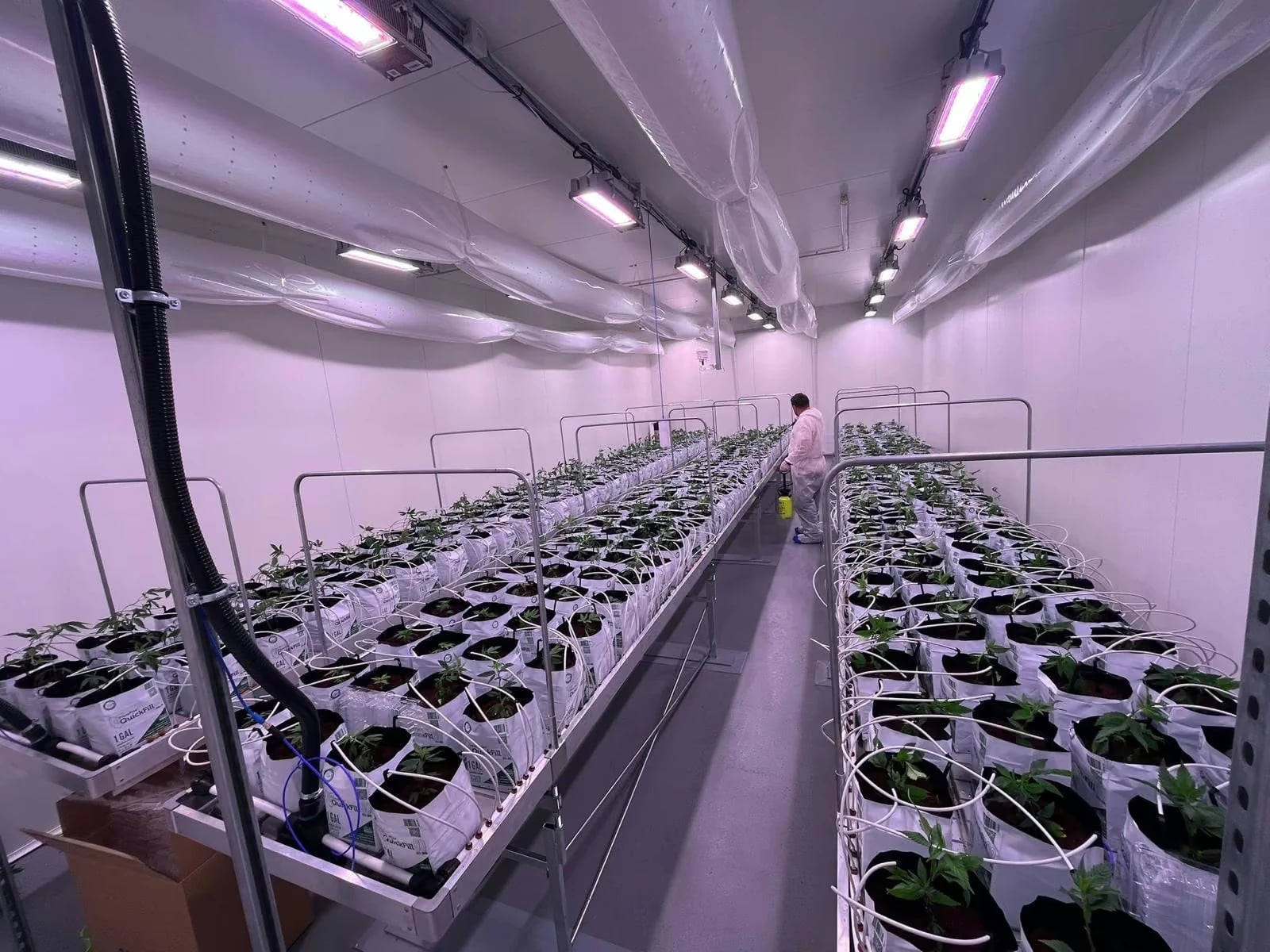 Growraum mit Jungpflanzen und Anbauteam